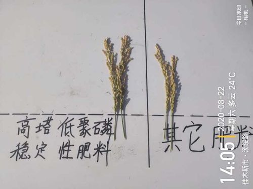 ͨ�ķ��r�Ƹ����;��׏ͺϷ���ˮ���ϵ�Ч�����F